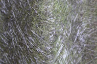 Little Smeaton fibreglass roof work